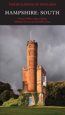 Hampshire: South book