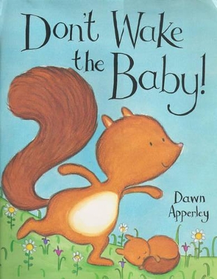 Don't Wake the Baby book