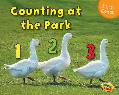 Counting at the Park by Rebecca Rissman