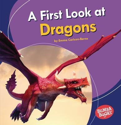 A First Look at Dragons book