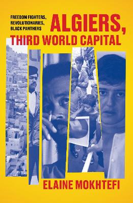 Algiers, Third World Capital: Freedom Fighters, Revolutionaries, Black Panthers by Elaine Mokhtefi