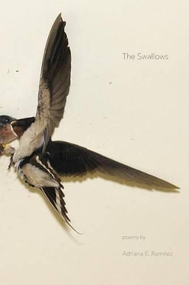 Swallows book