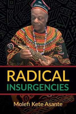 Radical Insurgencies book