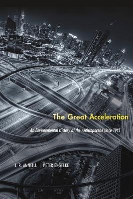 Great Acceleration book