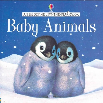 Baby Animals book