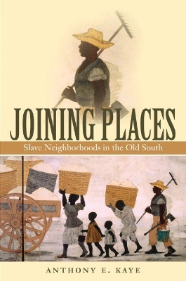Joining Places by Anthony E. Kaye