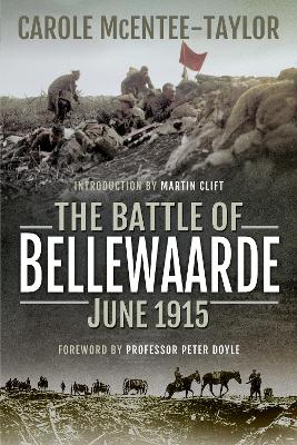 The The Battle of Bellewaarde, June 1915 by Carole McEntee-Taylor