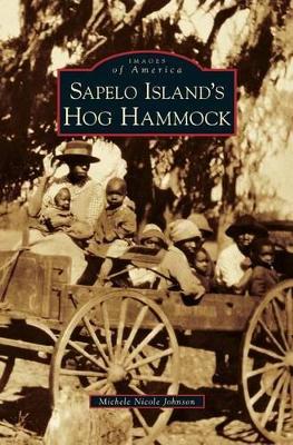 Sapelo Island's Hog Hammock book