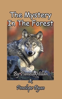 The Mystery In The Forest by Pamela Hillan
