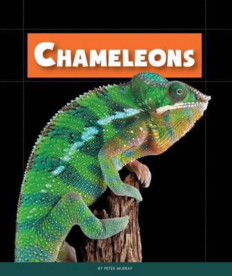 Chameleons book