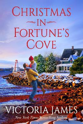 Christmas in Fortune's Cove: A Novel book
