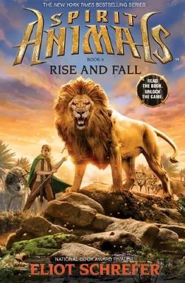 Rise and Fall book
