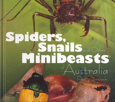 Spiders: Snails and Other Minibeasts of Australia by Paul Zborowski