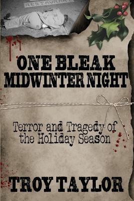 One Bleak Midwinter Night book