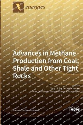 Advances in Methane Production from Coal, Shale and Other Tight Rocks book