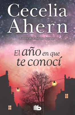 The Ano En Que Te Conoci / The Year I Met You by Cecelia Ahern