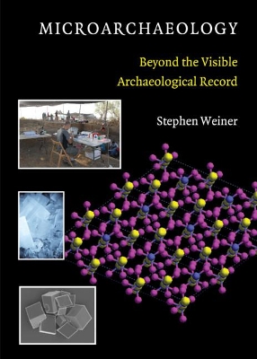 Microarchaeology book