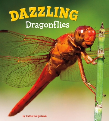 Dazzling Dragonflies book