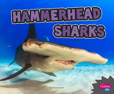 Hammerhead Sharks by Deborah Nuzzolo