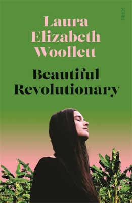 Beautiful Revolutionary book