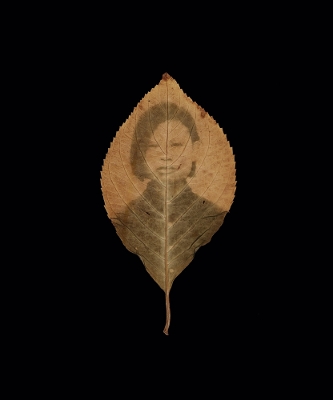 Binh Danh: The Enigma of Belonging book