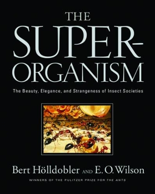 Superorganism by Edward O. Wilson