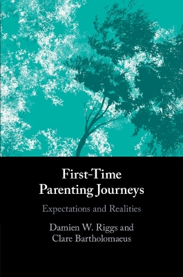 First-Time Parenting Journeys: Expectations and Realities book