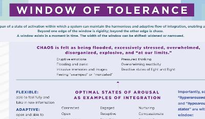 Window of Tolerance Laminated Card book