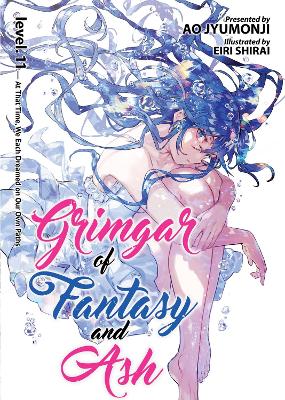 Grimgar of Fantasy and Ash (Light Novel) Vol. 11 book