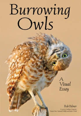 Burrowing Owls: A Visual Essay book