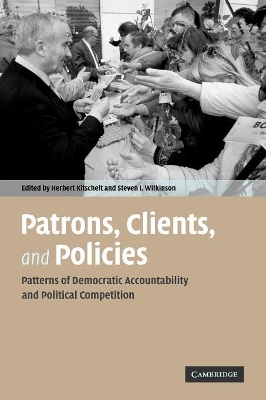Patrons, Clients and Policies book