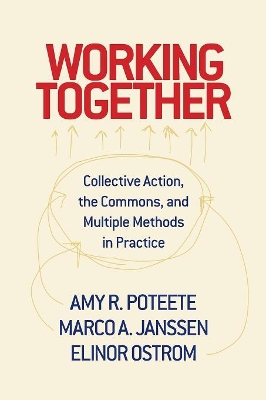 Working Together by Amy Poteete