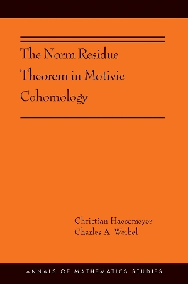 The Norm Residue Theorem in Motivic Cohomology book