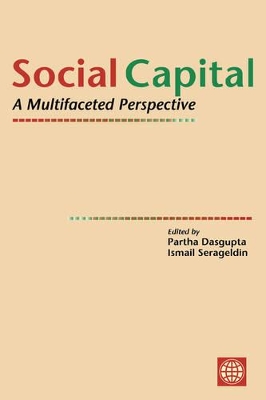 Social Capital book