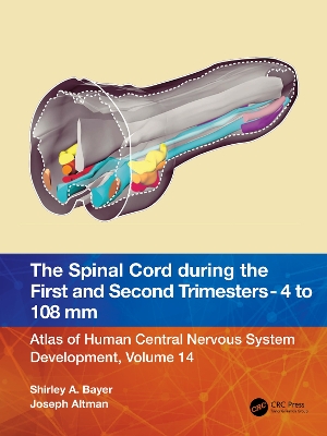 The Spinal Cord during the First and Early Second Trimesters 4- to 108-mm Crown-Rump Lengths: Atlas of Human Central Nervous System Development, Volume 14 by Shirley A. Bayer