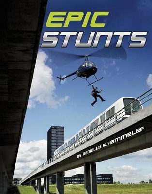 Epic Stunts book