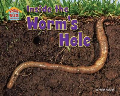 Inside the Worm's Hole book