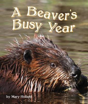 Beavers' Busy Year book