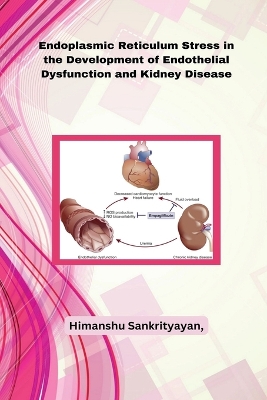 Endoplasmic Reticulum Stress in the Development of Endothelial Dysfunction and Kidney Disease book