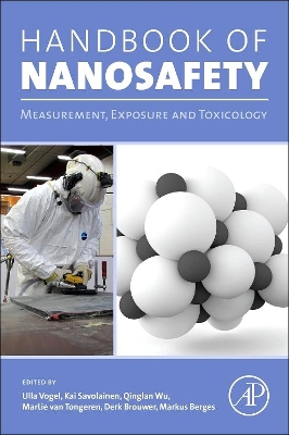 Handbook of Nanosafety book