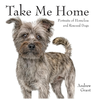 Take Me Home!: Rescue Dogs book