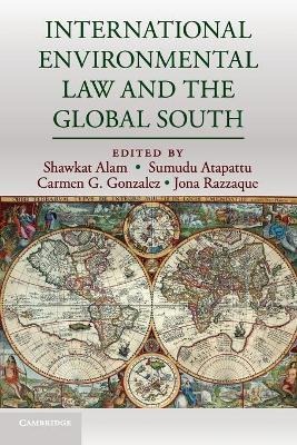International Environmental Law and the Global South book