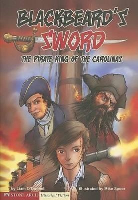 Blackbeard's Sword book