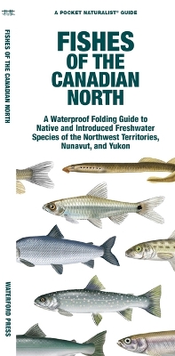Fishes of the Canadian North: A Waterproof Folding Guide to Native and Introduced Freshwater Species of the Northwest Territories, Nunavut and Yukon book