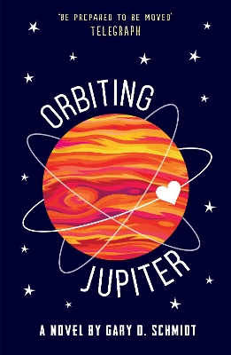 Orbiting Jupiter book