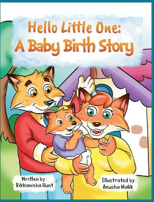 Hello, Little One: A Baby Birth Story book