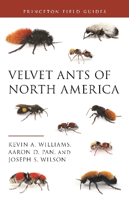 Velvet Ants of North America book