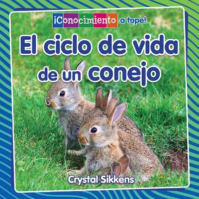 El Ciclo de Vida de Un Conejo (the Life Cycle of a Rabbit) book