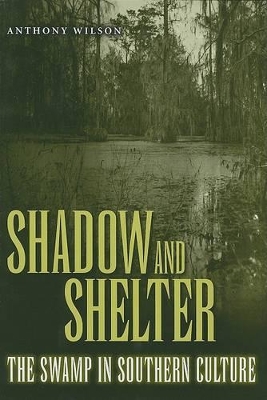 Shadow and Shelter by Anthony Wilson