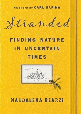 Stranded: Finding Nature in Uncertain Times book